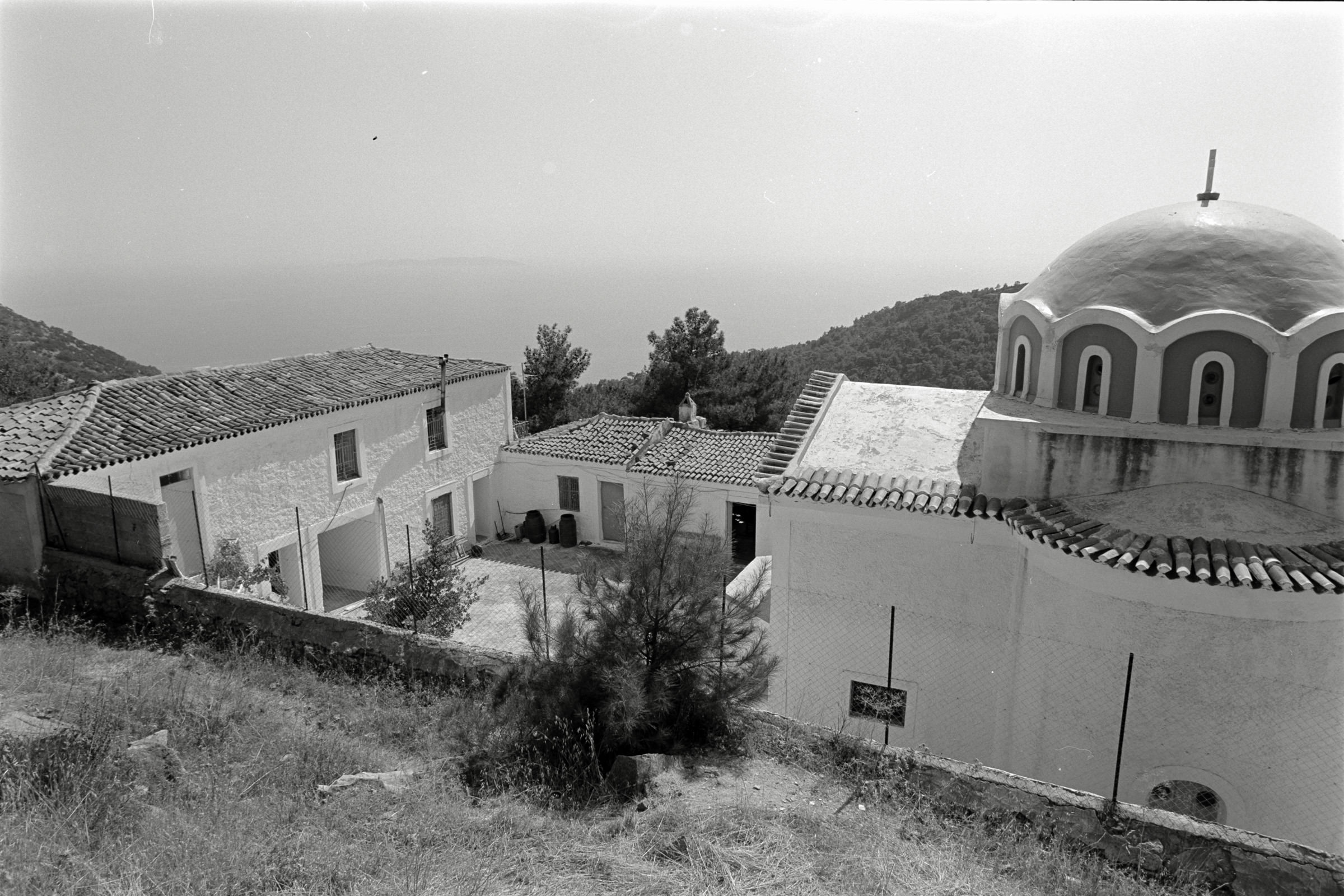 AHP F1991 09 003 sc240914 img16 NLP